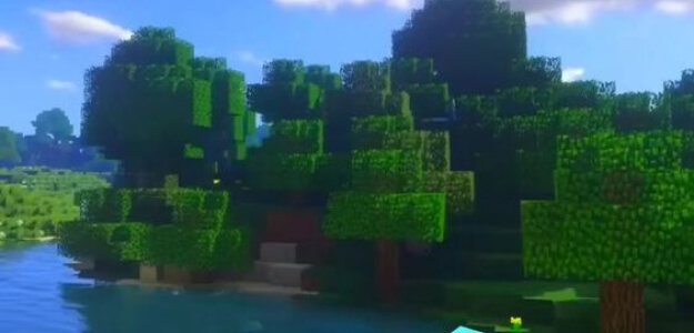 VIDYA VIDYA